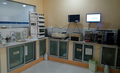 Factory and Office Tour Memories